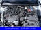 2023 Honda Civic Manual